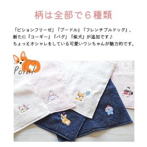 新柄追加 Shinzi Katoh ルシアン ...の詳細画像1