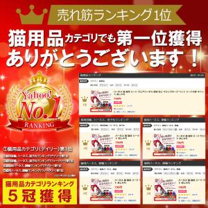 猫 ハーネス ねこ 猫用 リード ウェアハーネ...の詳細画像2