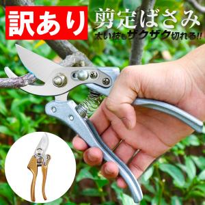 訳あり 剪定 はさみ ばさみ 剪定鋏 強力 ハサミ 庭 木