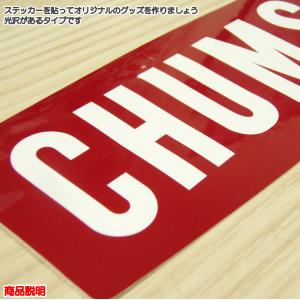 チャムス / ロゴステッカー ミディアム ・ ...の詳細画像2