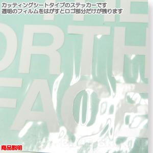 ザ・ノース・フェイス / TNF カッティング...の詳細画像3
