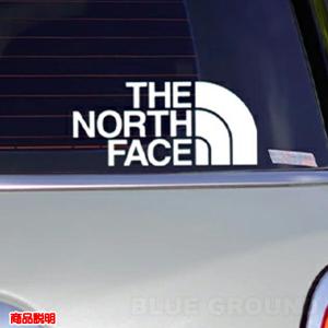 ザ・ノース・フェイス / TNF カッティング...の詳細画像5