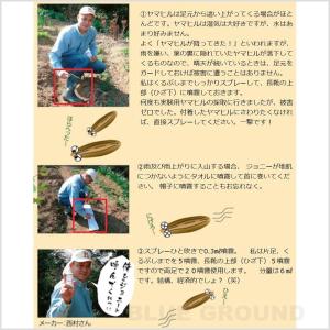 エコトレード / ヒル下がりのジョニー 200...の詳細画像3