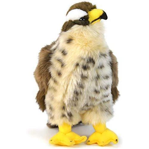ハヤブサ 鳥 鷹 ぬいぐるみ リアル 23センチ ペット 大きい Falcon バード 鳥類 タカ ...