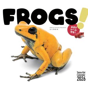 カレンダー2026 FROGS！カエルの買取情報