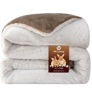 西川（nishikawa） 『ポケモンスリープ』 昭和西川 わた入り2枚合わせ