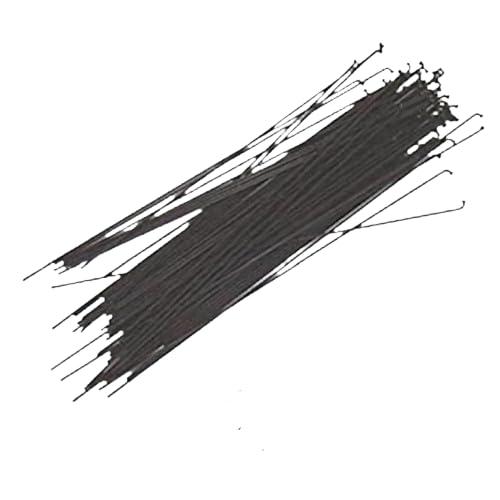 スポーク 黒SH（スモールヘッド）/14-SB 13X195 スターブライト 黒 36本