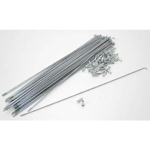 スポーク SB 14X195 スターブライト 36本