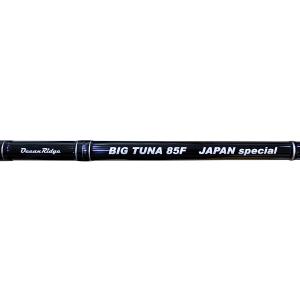 わお　美品　リップルフィッシャー　ビックツナ70 Ripple Fisher 送料半額 リップルフィッシャー ビッグツナ 70
