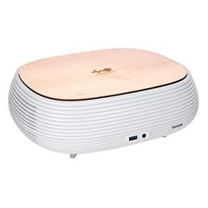 IN WIN Development 縦横両設置対応 200W GOLD電源付属 mini-ITXケース ホワイトモデル B1 Pure