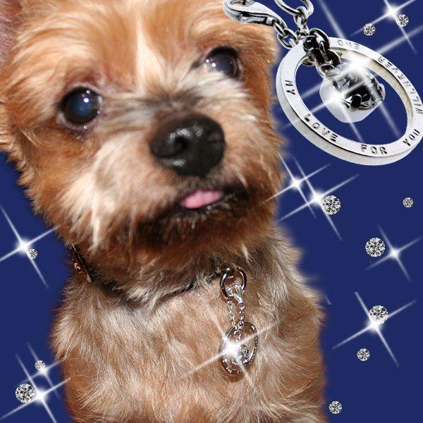 ペット用 ネックレス メッセージトップ スワロフスキー オーダーメイド 名前 刻印 鑑札 エンジェル...