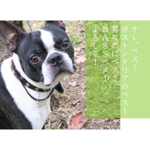 ペアペンダント シルバーペンダ ント ネームペ...の詳細画像1
