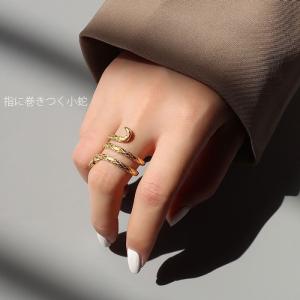 リング 指輪 スネーク 巻きつく へび ヘビ ...の詳細画像1