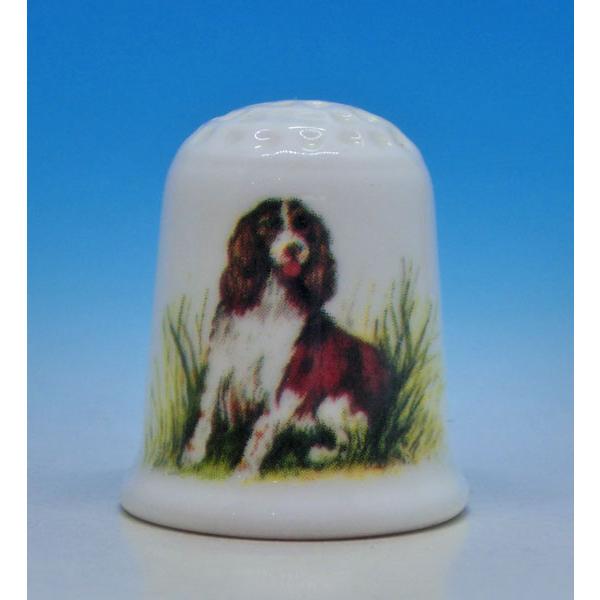 シンブル（指貫）COALPORT   Dogs Springer Spaniel　スプリンガー・スパ...