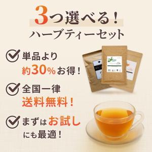 選べるティーバッグ 3つセット グリーンルイボ...の詳細画像1