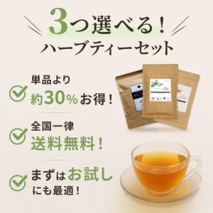 選べるティーバッグ 3つセット グリーンルイボ...の詳細画像1