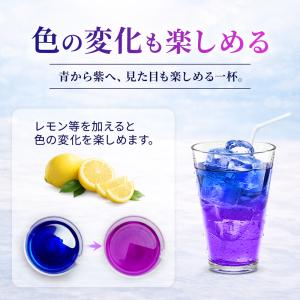 ハーブティー バタフライピー 30g ブルーピ...の詳細画像2