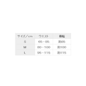 ファイテン(PHITEN) ファイテンサポータ...の詳細画像3