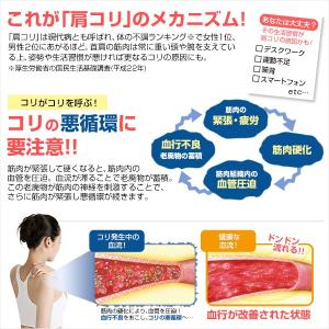 ファイテン(PHITEN) RAKUWA 磁気...の詳細画像4
