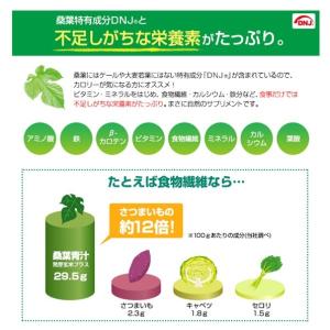 ファイテン(PHITEN) 桑葉青汁 難消化性...の詳細画像2