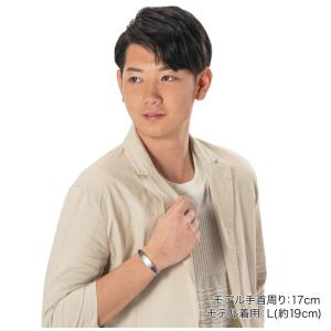 【送料無料!】ファイテン(PHITEN) チタ...の詳細画像5