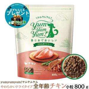 【選べるおまけ付】yum yum yum! ヤム...の商品画像