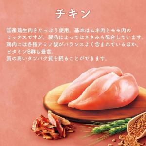 【選べるおまけ付】yum yum yum! ヤ...の詳細画像3