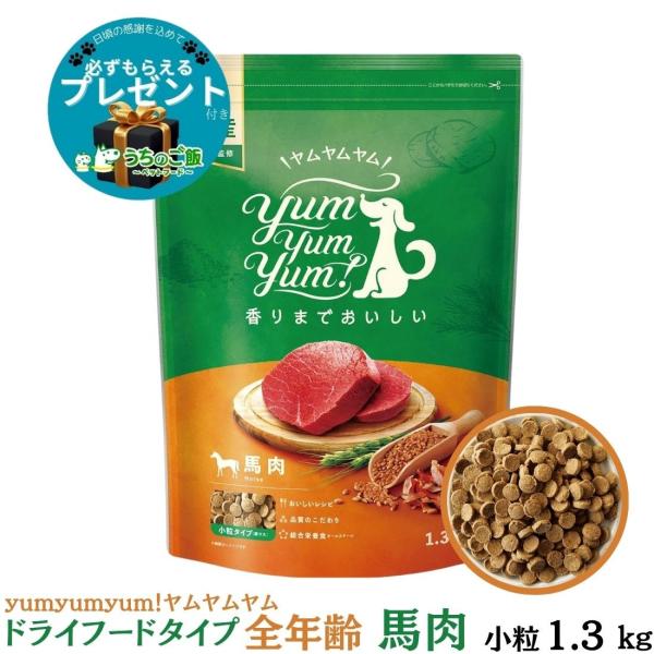 【選べるおまけ付】yum yum yum! ヤムヤムヤム 国産 ドッグフード 馬肉 ドライタイプ 1...