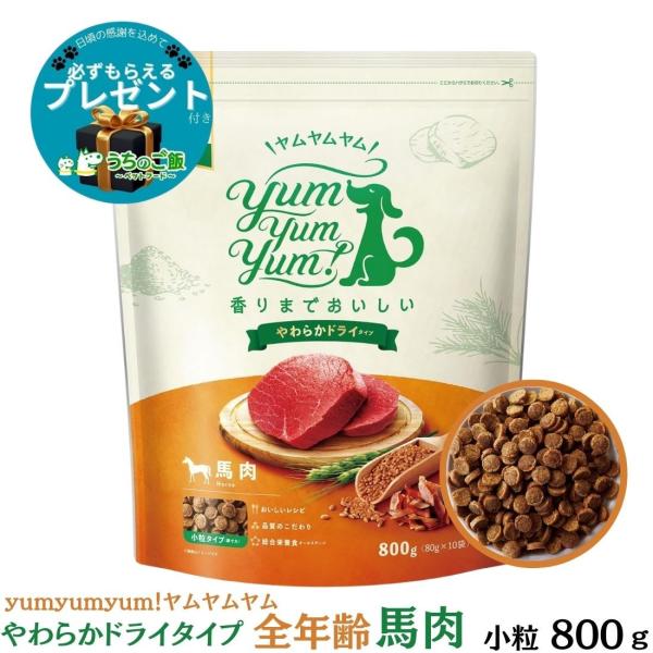 【選べるおまけ付】yum yum yum! ヤムヤムヤム 国産 ドッグフード馬肉 やわらかドライタイ...