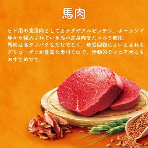 【選べるおまけ付】yum yum yum! ヤ...の詳細画像3