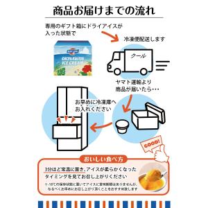 アイス ブルーシール 公式 ギフト 12個 プ...の詳細画像3
