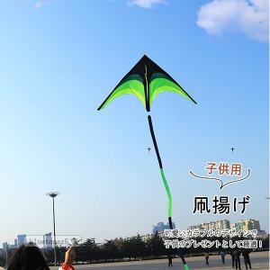 凧 凧揚げ 凧あげ カイト アウトドア 凧糸付き300m