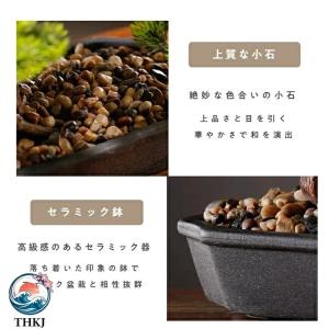 横幅 63cm 80cm 85cm 人工松フェ...の詳細画像3