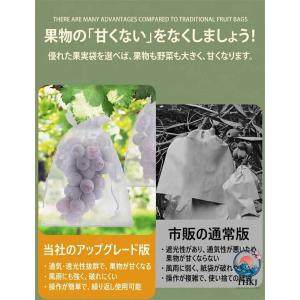 防虫ネット 果物保護 被せるだけ 防鳥 害虫対...の詳細画像4