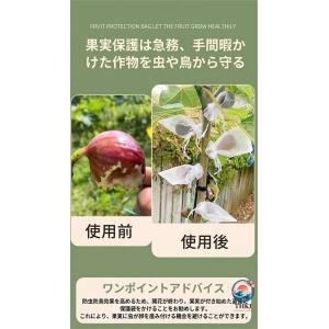 防虫ネット 果物保護 被せるだけ 防鳥 害虫対...の詳細画像5