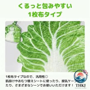 白菜 おくるみ 本物 おもしろ 新生児 野菜 ...の詳細画像2