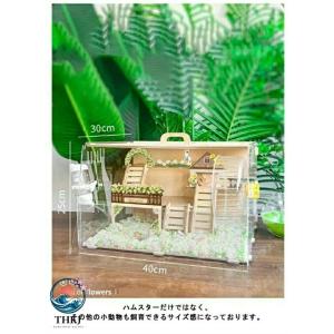 ハムスターケージ 大きい透明アクリル組立式 持...の詳細画像3