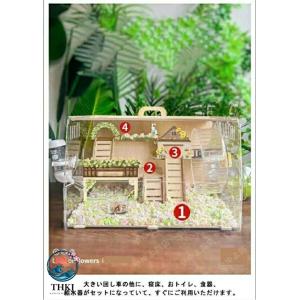 ハムスターケージ 大きい透明アクリル組立式 持...の詳細画像4