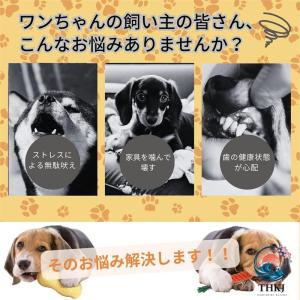 犬 噛む おもちゃ 犬用歯ブラシ 玩具 ストレ...の詳細画像2