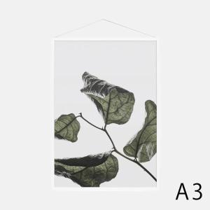 Paper Collective / Floating Leaves 03 A3(Clear)【ペーパーコレクティブ/ポスター/フローティングリーヴス/デンマーク/インテリア】[115721｜blw