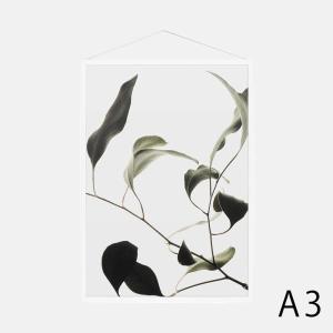 Paper Collective / Floating Leaves 09 A3(Clear)【ペーパーコレクティブ/ポスター/フローティングリーヴス/デンマーク/インテリア】[115727｜blw