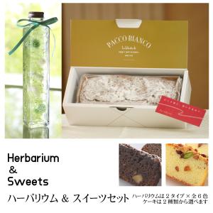 スイーツ＆ハーバリウムセット【グリーン】ハーバリウムとパウンドケーキ 全6 色12種 パウンドケーキは2種から選べる お菓子とお花 プレゼント 贈り物｜bmhpremium