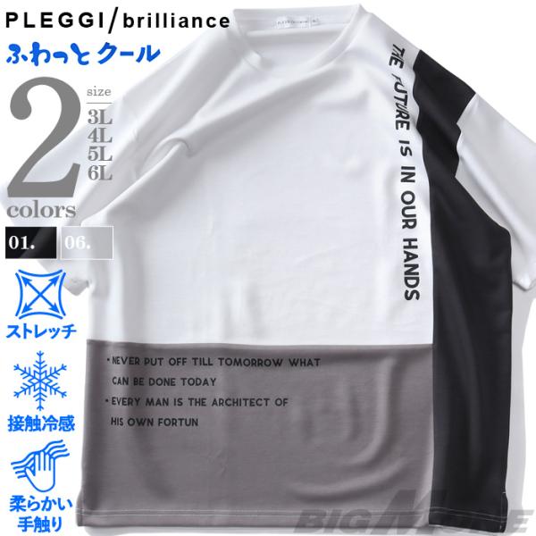 大きいサイズ メンズ PLEGGI プレッジ 接触冷感 ストレッチ ライトダンボール 切替プリント ...