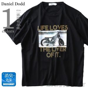 DANIEL DODD ベア天フォトプリント半袖Tシャツ LIFE LOVES  azt-180297