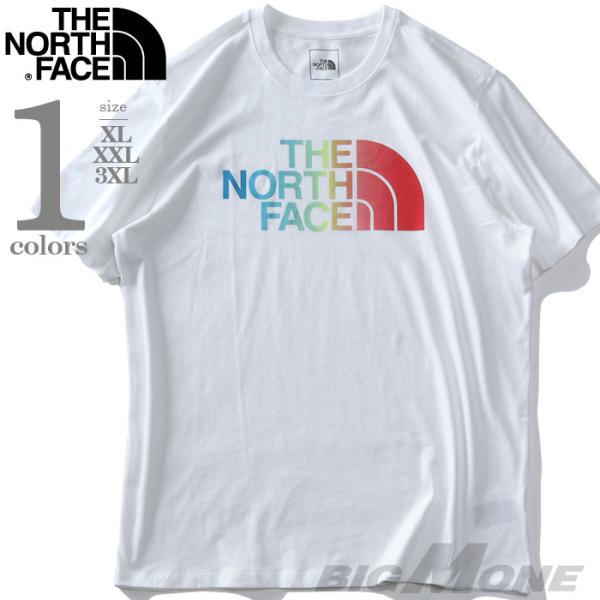 大きいサイズ メンズ THE NORTH FACE ザ ノース フェイス プリント 半袖 Tシャツ ...