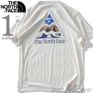 大きいサイズ メンズ THE NORTH FACE ノースフェイス プリント 半袖 Tシャツ PLACES WE LOVE TEE USA直輸入 nf0a811s-nzi｜bmo