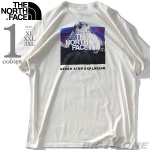 大きいサイズ メンズ THE NORTH FACE ノースフェイス プリント 半袖 Tシャツ BOX NSE TEE USA直輸入 nf0a812h-ofm｜大きいサイズの店ビッグエムワン