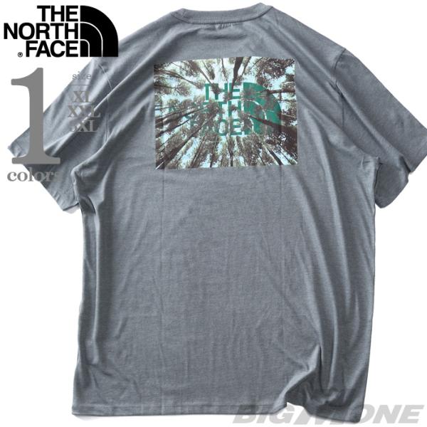 大きいサイズ メンズ THE NORTH FACE ノースフェイス プリント 半袖 Tシャツ S/S...