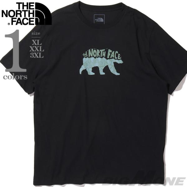 大きいサイズ メンズ THE NORTH FACE ノースフェイス プリント 半袖 Tシャツ USA...