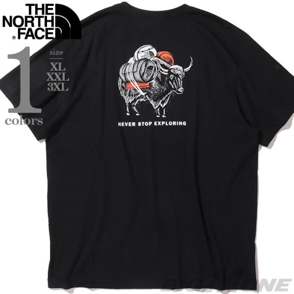 大きいサイズ メンズ THE NORTH FACE ノースフェイス プリント 半袖 Tシャツ USA...